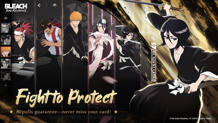 Bleach Soul Resonance karakter
