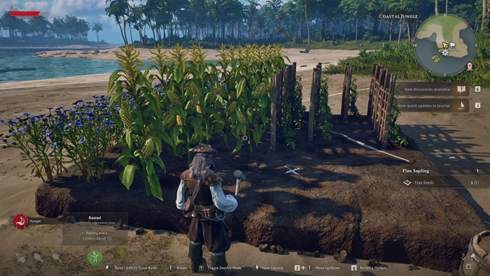 Review Windrose elemen survival