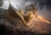 Monster Hunter Outlanders Dapat Tanggal Rilis di Indonesia Monster Hunter Outlanders Dapat Tanggal Rilis di Indonesia